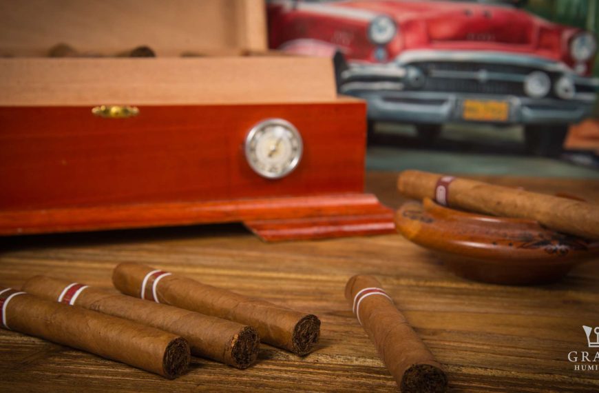 Cigar Humidor – Top 10 Best Small Humidors 2023