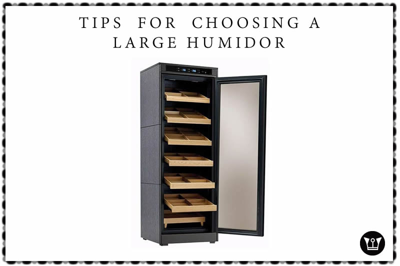 Tips for choosing a Large humidor