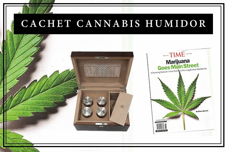 Cachet Cannabis Humidor Review