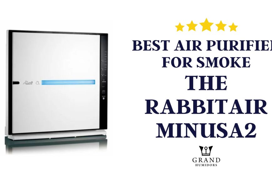 BEST AIR PURIFIER FOR SMOKE, the RabbitAir Minusa2