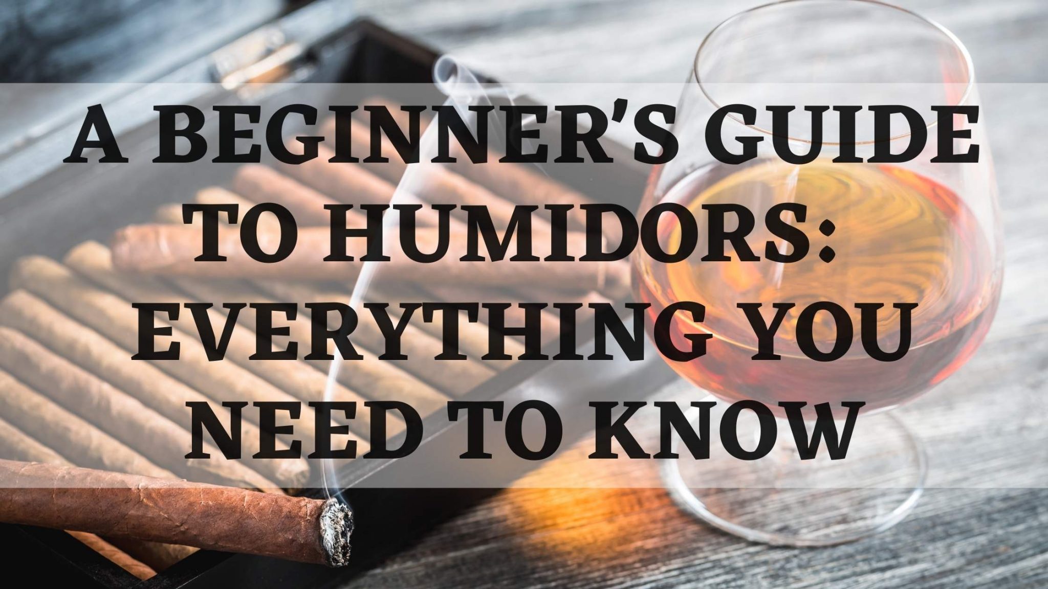 A Beginner’s Guide to Humidors Everything You Need to Know Grand