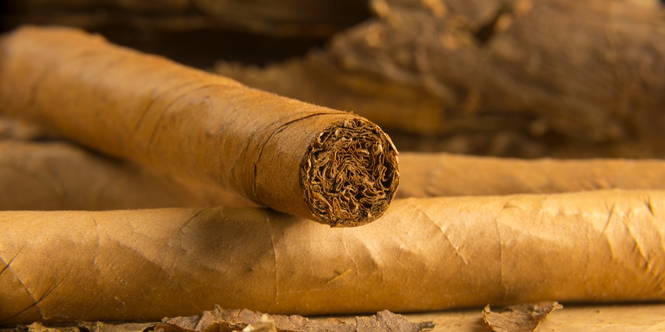 closeup of cigars rolled with loose tobacco leaves