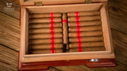 10 BEST SMALL HUMIDORS TODAY