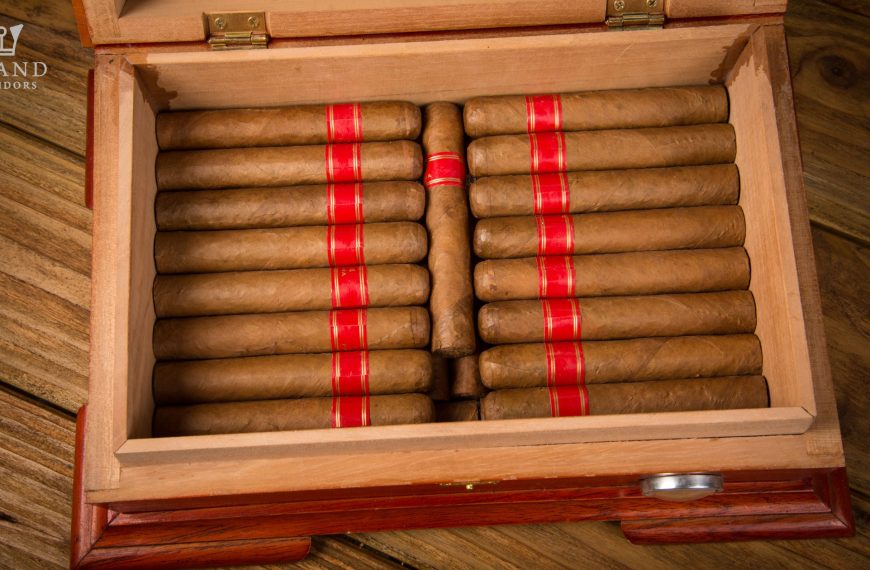 10 BEST SMALL HUMIDORS you can get now