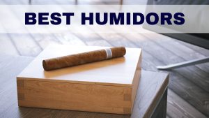 best humidor
