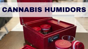 cannabis humidor