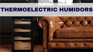 thermoelectric humidor